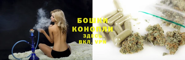 таблы Осинники