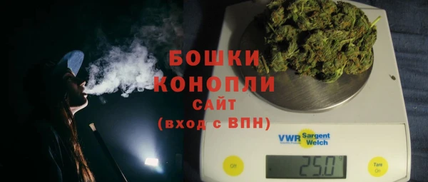 таблы Осинники