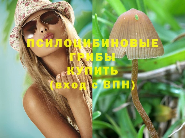 стаф Осташков