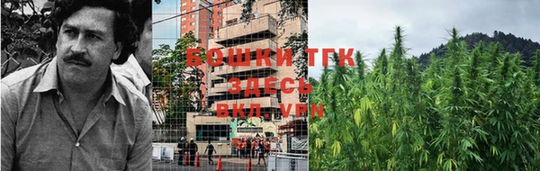 стаф Осташков