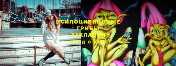 стаф Осташков