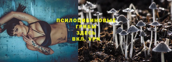таблы Осинники
