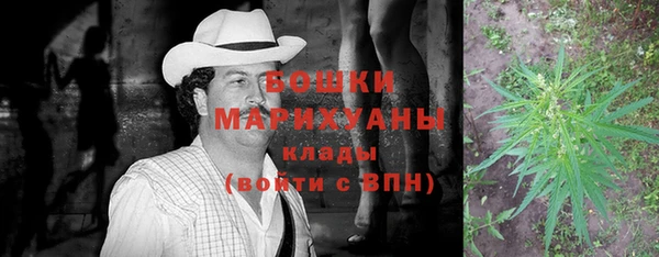 стаф Осташков
